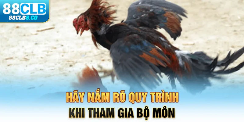 Hãy nắm rõ quy trình khi tham gia bộ môn