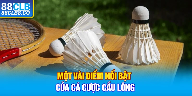 Một vài điểm nổi bật của cá cược cầu lông