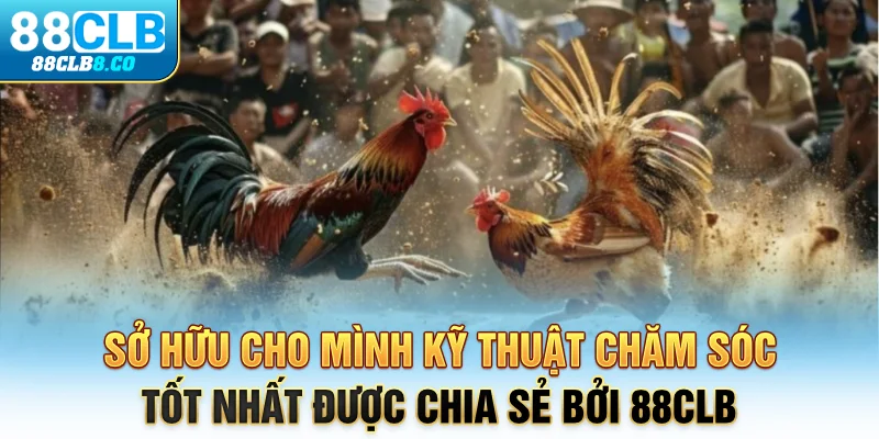 Sở hữu cho mình kỹ thuật chăm sóc tốt nhất được chia sẻ bởi 88CLB